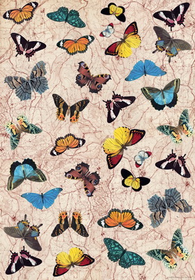 Papel de regalo representante mariposas