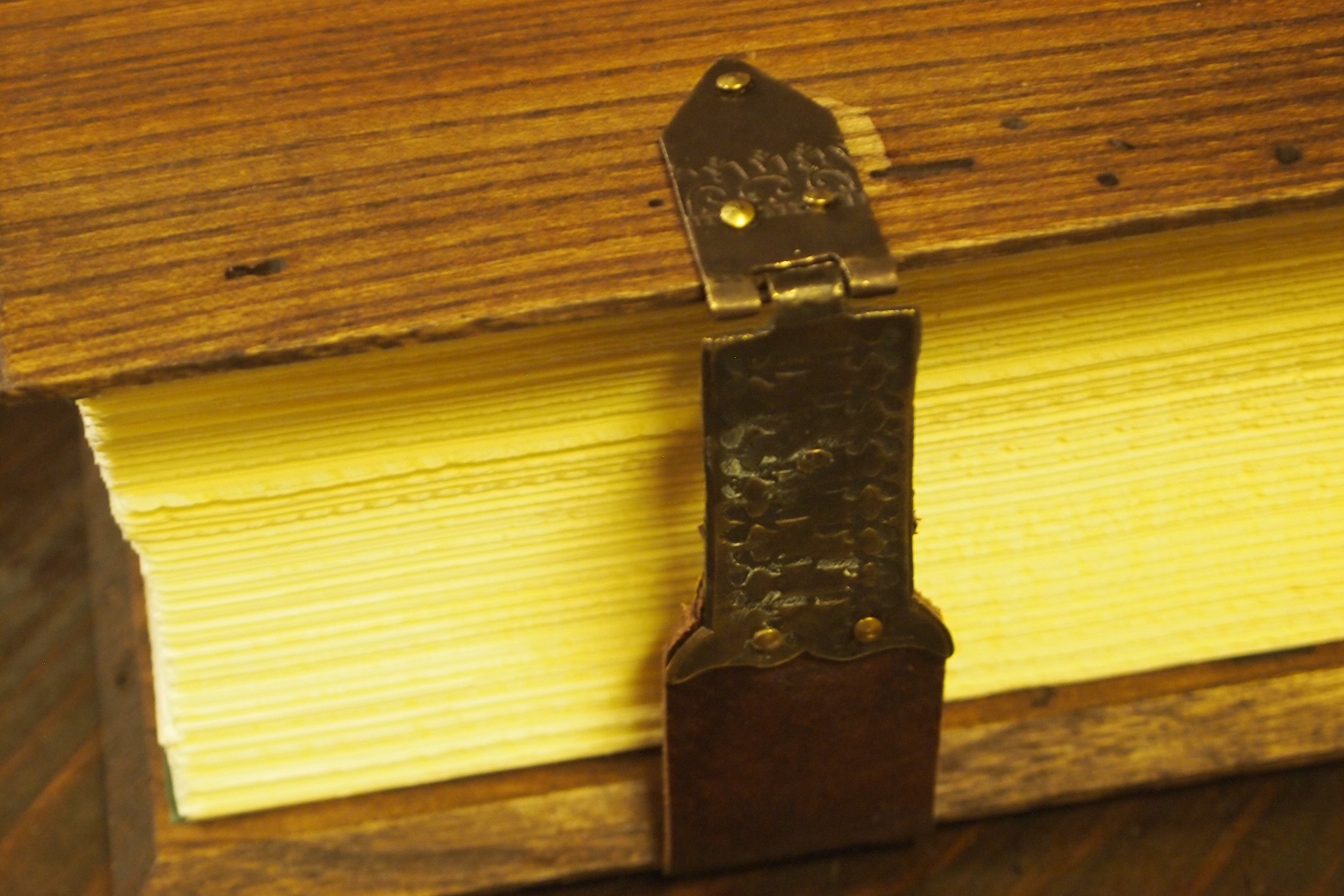 Unliniertes Buch ganz in Leder gebunden, mit schweren Metallecken, dem Mediciwappen und ausgefransten Seiten (Copia)