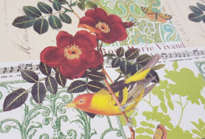 Dekoratives italienisches Geschenkpapier Vögel, Blumen und Schmetterlinge