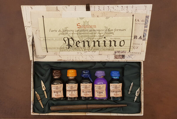 Calligraphic set with pen holder, nibs and 5 inks